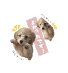 むうたんスタンプ♡（個別スタンプ：21）