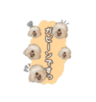 むうたんスタンプ♡（個別スタンプ：25）