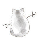 うちの兄妹猫（くっきり大きめ文字ver.）（個別スタンプ：17）