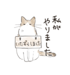 うちの兄妹猫（くっきり大きめ文字ver.）（個別スタンプ：27）