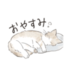 うちの兄妹猫（くっきり大きめ文字ver.）（個別スタンプ：31）