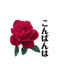 yasuおばさんの薔薇言葉R3（個別スタンプ：5）