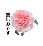 yasuおばさんの薔薇言葉R3（個別スタンプ：17）