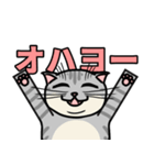 ねことけだまねこ（個別スタンプ：1）