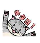 ねことけだまねこ（個別スタンプ：7）