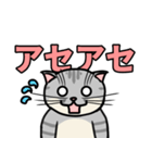 ねことけだまねこ（個別スタンプ：13）