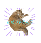 まりょんくんスタンプ2（個別スタンプ：6）