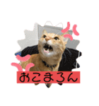 まりょんくんスタンプ2（個別スタンプ：8）