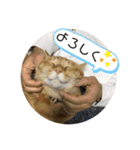 まりょんくんスタンプ2（個別スタンプ：12）