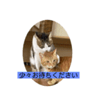 まりょんくんスタンプ2（個別スタンプ：16）