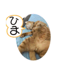 まりょんくんスタンプ2（個別スタンプ：19）