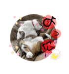 まりょんくんスタンプ2（個別スタンプ：29）
