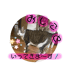 まりょんくんスタンプ2（個別スタンプ：30）