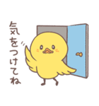 ひよこ ～ 日常ごあいさつ（個別スタンプ：9）