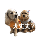 我が家のアメコカとんちんかん（個別スタンプ：13）