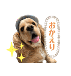 我が家のアメコカとんちんかん（個別スタンプ：19）