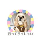 我が家のアメコカとんちんかん（個別スタンプ：23）