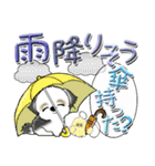 シーズー犬52『梅雨』（個別スタンプ：17）