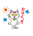 猫相の悪いネコ（個別スタンプ：1）