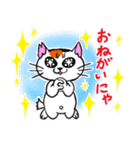 猫相の悪いネコ（個別スタンプ：9）