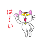 猫相の悪いネコ（個別スタンプ：23）