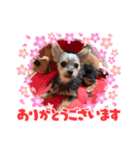 ヨーチワ♡挨拶編（個別スタンプ：8）