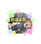 うるくんです（個別スタンプ：1）