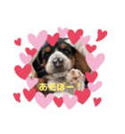 うるくんです（個別スタンプ：3）
