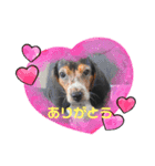 うるくんです（個別スタンプ：8）