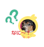 うるくんです（個別スタンプ：9）