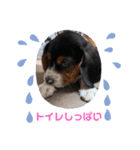 うるくんです（個別スタンプ：10）