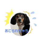 うるくんです（個別スタンプ：12）