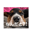うるくんです（個別スタンプ：13）