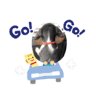 うるくんです（個別スタンプ：14）
