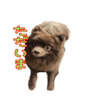 ラクちゃんとの日常 vol.1（個別スタンプ：3）