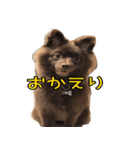 ラクちゃんとの日常 vol.1（個別スタンプ：4）