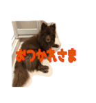 ラクちゃんとの日常 vol.1（個別スタンプ：9）