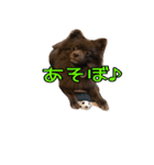ラクちゃんとの日常 vol.1（個別スタンプ：13）