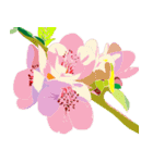 花のデリバリー（個別スタンプ：12）