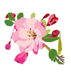 花のデリバリー（個別スタンプ：37）