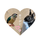わがやのチョコミント②（個別スタンプ：4）