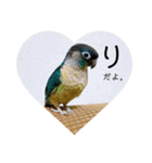 わがやのチョコミント②（個別スタンプ：6）