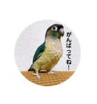 わがやのチョコミント②（個別スタンプ：26）