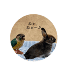 わがやのチョコミント②（個別スタンプ：29）