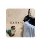わがやのチョコミント②（個別スタンプ：30）