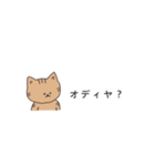 言いたいだけの猫たち。カタカナで韓国語（個別スタンプ：13）