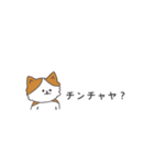 言いたいだけの猫たち。カタカナで韓国語（個別スタンプ：27）