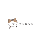 言いたいだけの猫たち。カタカナで韓国語（個別スタンプ：35）