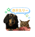 ダックスのダウルとたまにぼんこ（個別スタンプ：12）