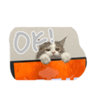 ふうちゃんだよ！！！！（個別スタンプ：7）